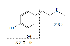 解説画像